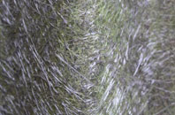 Ballintoy fibreglass roof work